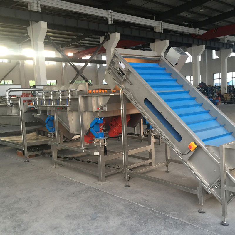 Palm dates dry washing processing line